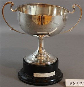 Image description is not available for P67.233a-b